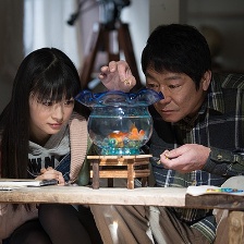 飛翔的金魚和世界的秘密