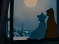 猫儿历险记