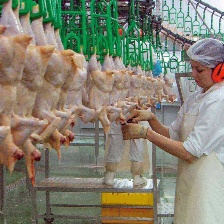 我們每日的面包