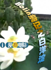 博林游記之白洋淀（上）