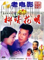 柳暗花明