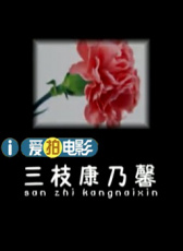 三枝康乃馨