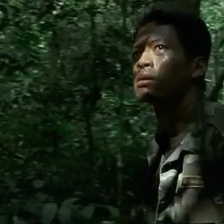 熱帶疾病