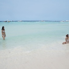 戀愛的技術(shù)
