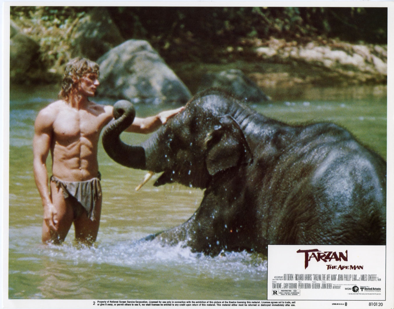 Tarzan, the Ape Man