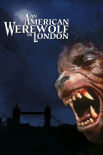 美国狼人在伦敦