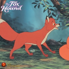 狐狸与猎狗