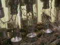 惊爆无底洞