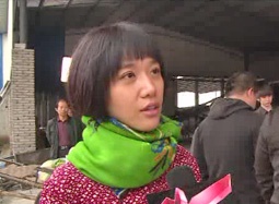 《守望女》胡杨林遭遇奸商 被人蒙骗钱菜两空