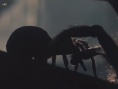 小魔煞