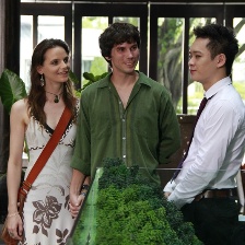 七色太陽(yáng)花