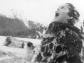 雪地黃金犬
