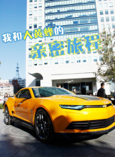 我和大黃蜂的親密旅程