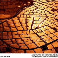 看见台湾