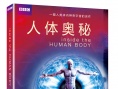 人体奥秘