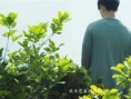 春游