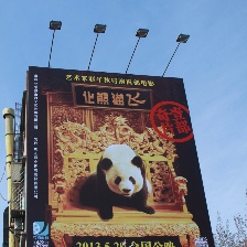 讓熊貓飛