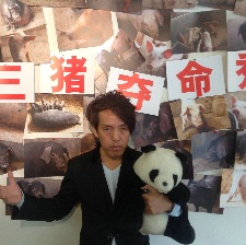 讓熊貓飛