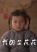 我的兰花花