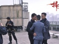 明星集体力挺《扫毒》 陈木胜操刀新MV答谢观众
