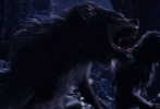 《黑夜传说》系列电影是近几年来最成系统的狼人题材电影，标题“Underworld”也直面的告知了电影中所虚构的一个黑暗的地下世界。在那里，两大种族――吸血鬼和狼人斗得你死我活，每一方都以消灭对方种族为最终目标。吸血鬼与狼人在电影中正面交锋，双方的大战也足足让影迷大呼过瘾，尽管故事情节稍显狗血，但也不会湮灭狼人粉丝们对其的喜爱。该系列到现在已经出到了第5部，可见其影响力并不比《暮光之城》差到哪儿去。