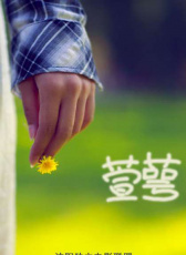 萱萼
