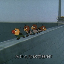 國王與小鳥