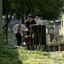 板龍
