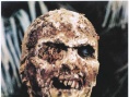 生人回避