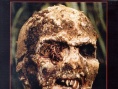 生人回避