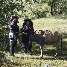 俐侎阿朵