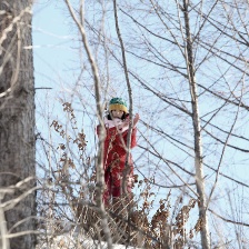 野狗們