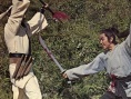 荡寇志