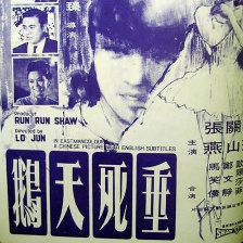 垂死天鵝