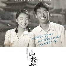 山楂树之恋