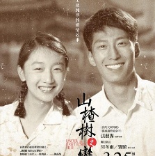 山楂树之恋