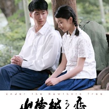山楂树之恋