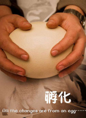 孵化