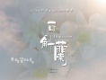 石斛兰