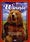 一头名叫维尼的熊