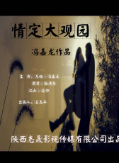 情定大觀園