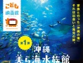 冲绳美丽海水族馆