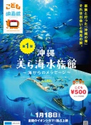 冲绳美丽海水族馆