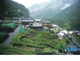 小小光芒