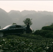 愛不需要承諾