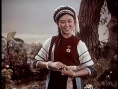 五朵金花