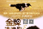 承諾版海報(bào)