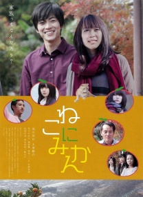 給貓橘子