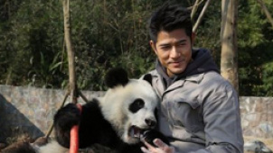 郭富城、刘嘉玲都爱大熊猫 成为公益推广大使