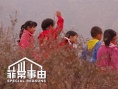 菲常事由